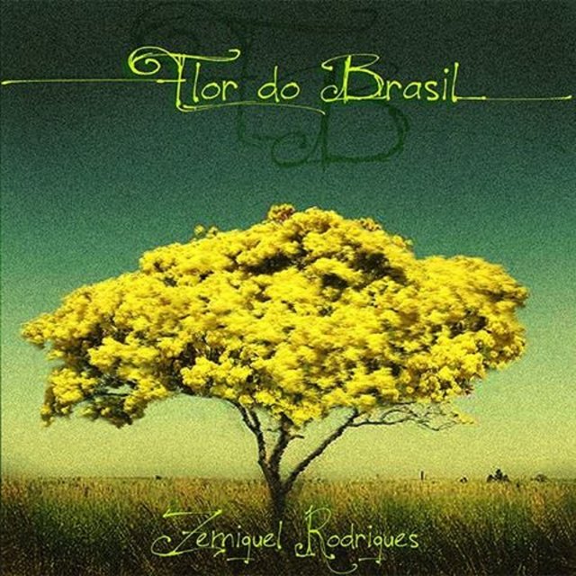 Flor do Brasil