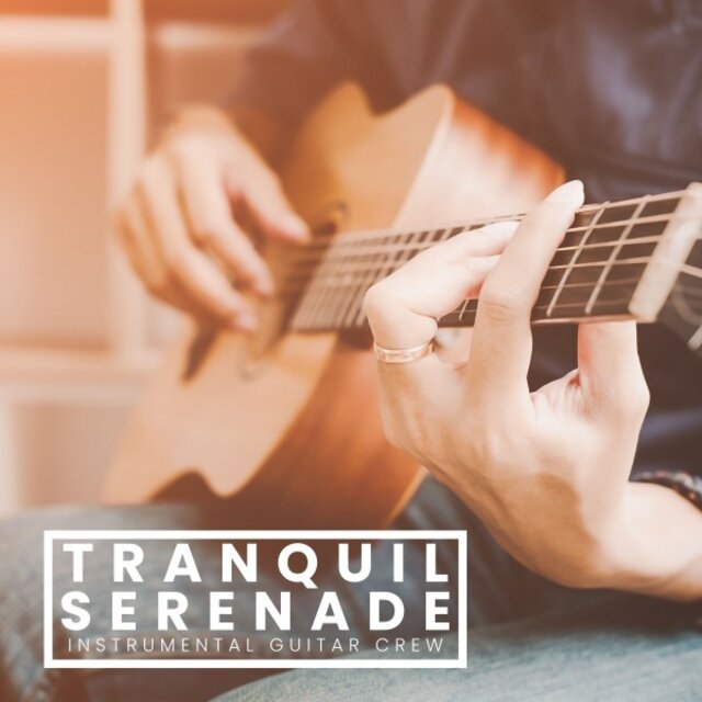 Tranquil Serenade: Acoustic Guitar Music