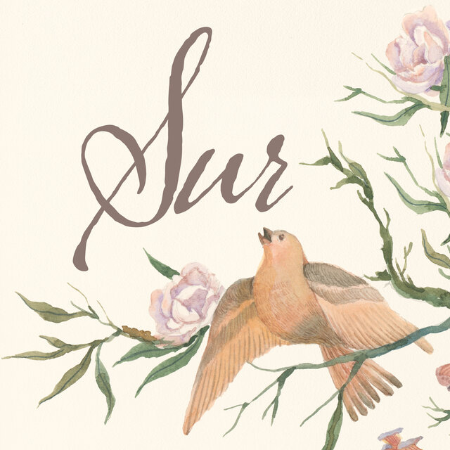 Sur
