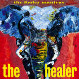 The Healer