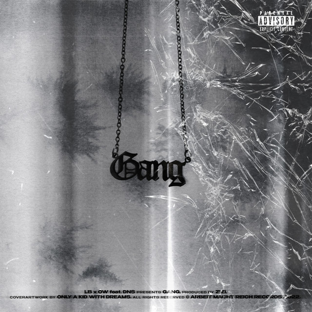 Gang
