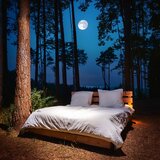 The Ocean Sleeps Beneath A Lavender Moon