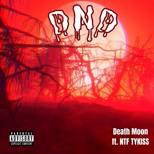 DND (feat. NTF Tykiss)
