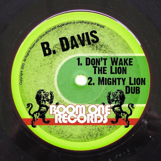 Don't Wake The Lion