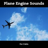 Red Eye Flight