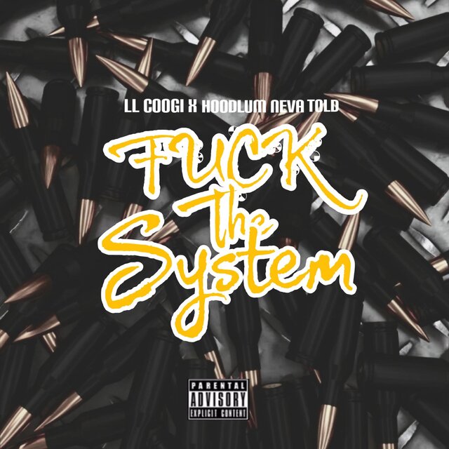 Fuck the System