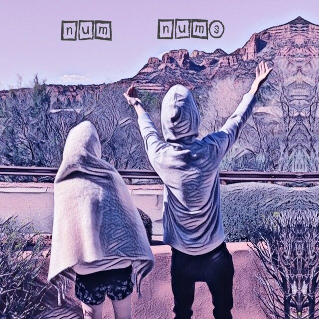 NUM NUMS