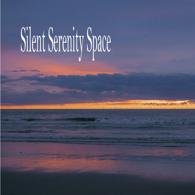 Silent Serenity Space