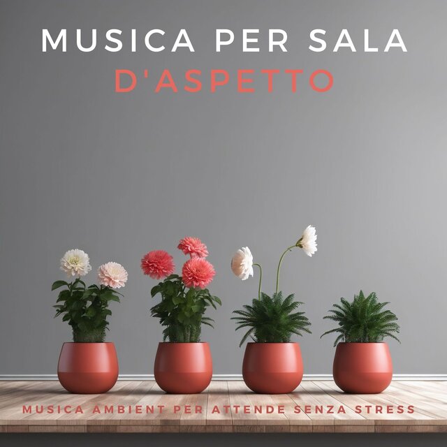 Musica per Sala d'Aspetto: Musica Ambient per Attende Senza Stress