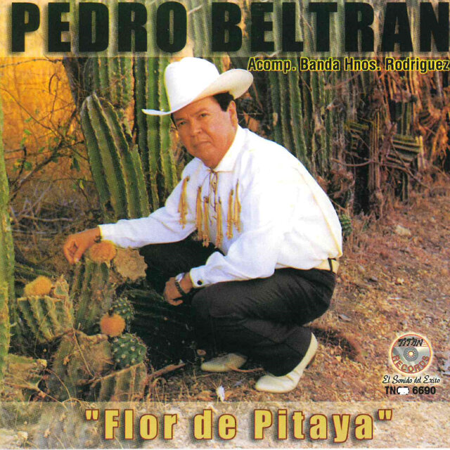 Flor de Pitaya