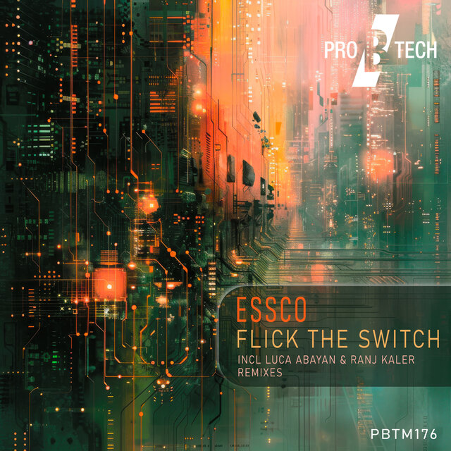 Flick the Switch (Ranj Kaler's Beatless Deep State Remix)