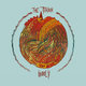 Cover art for album Wooly by The Dawn