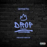Drop (Remix)