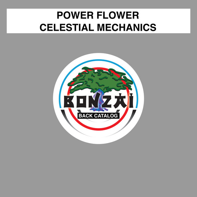 Celestial Mechanics