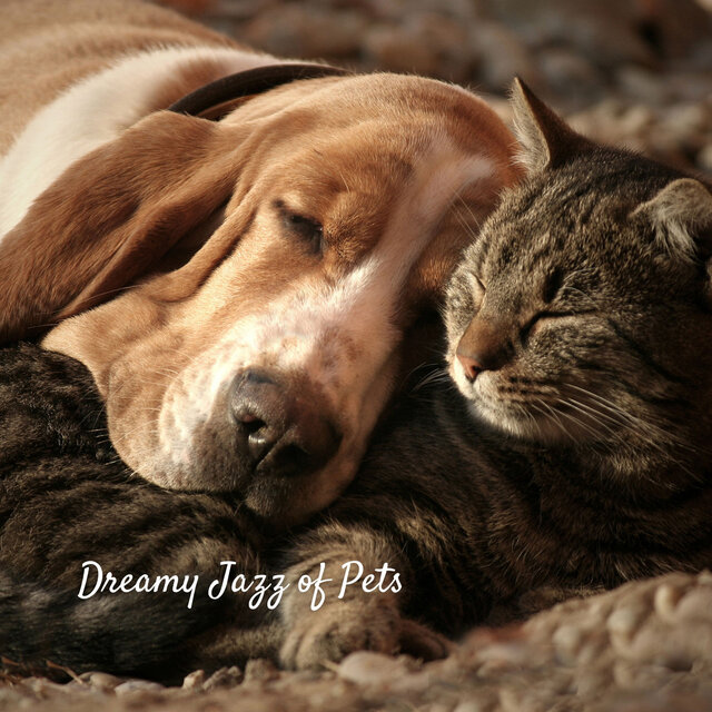 Dreamy Jazz of Pets