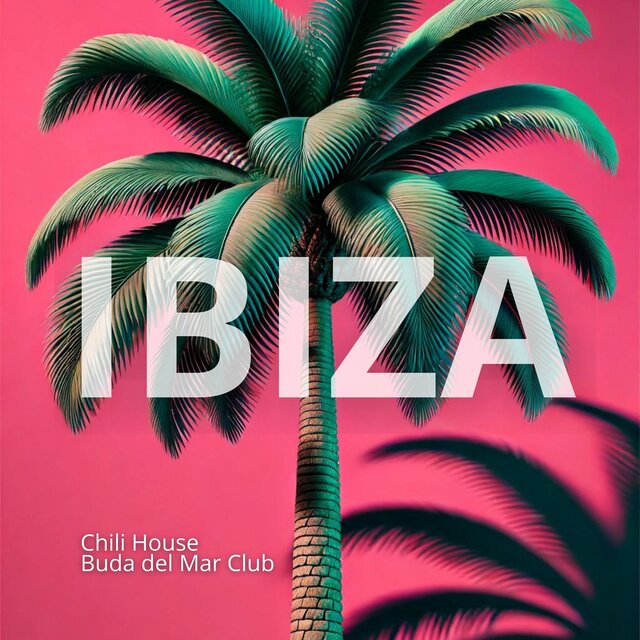 IBIZA Mix (High-Energy Anthems to Light Up the Dance Floor)