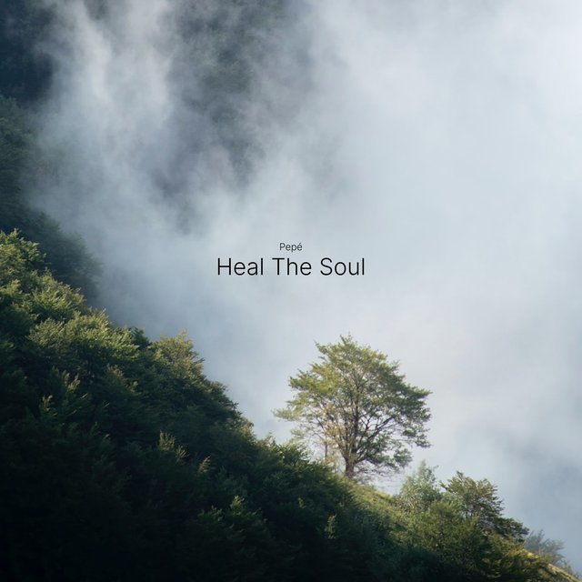 Heal the Soul