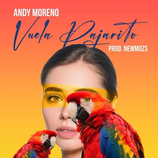 Vuela Pajarito