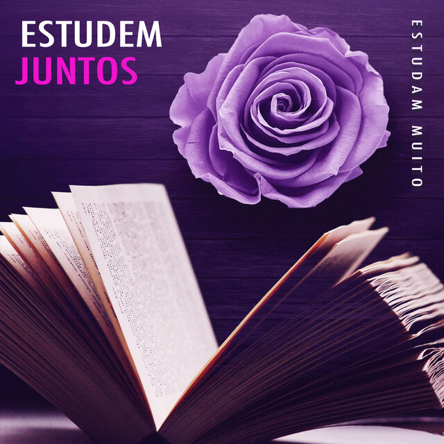 Estudem Juntos
