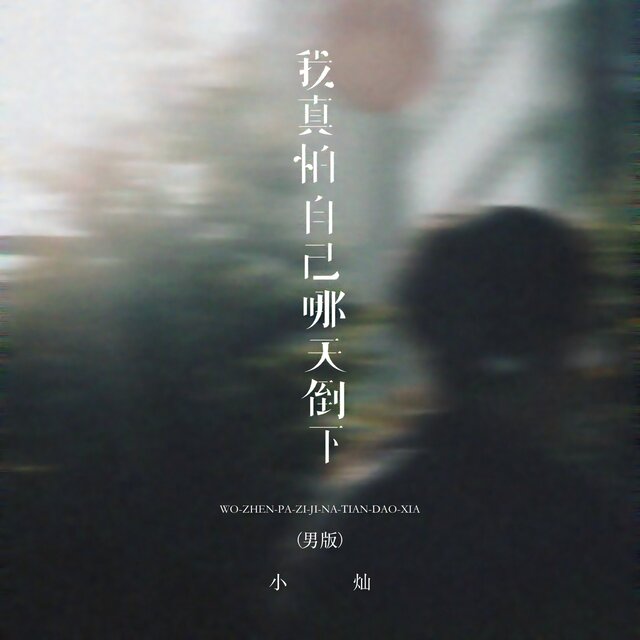 我真怕自己哪天倒下