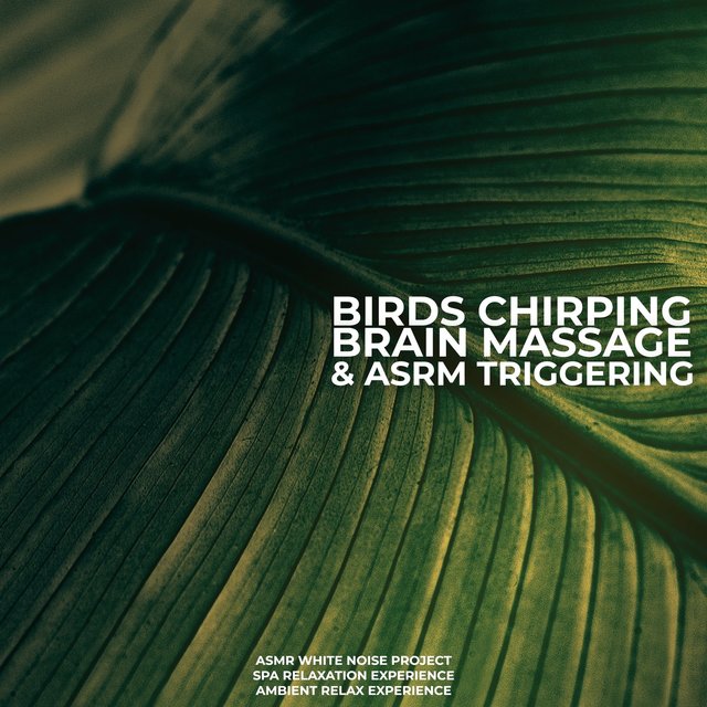 Birds Chirping Brain Massage & ASMR Triggering