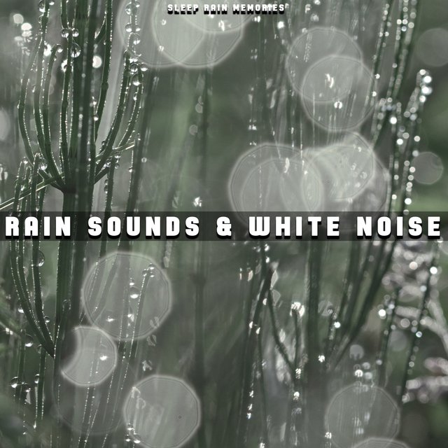 Rain Sounds & White Noise