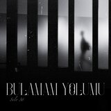 Bulamam Yolumu