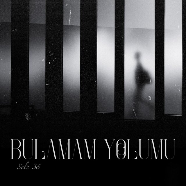 Bulamam Yolumu