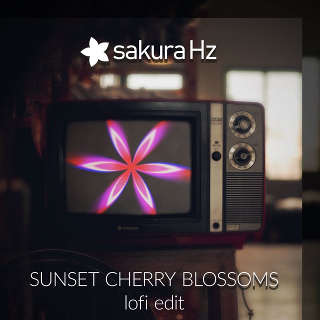 Sunset Cherry Blossoms (Lofi Edit)