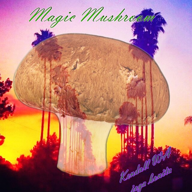 Magic Mushroom