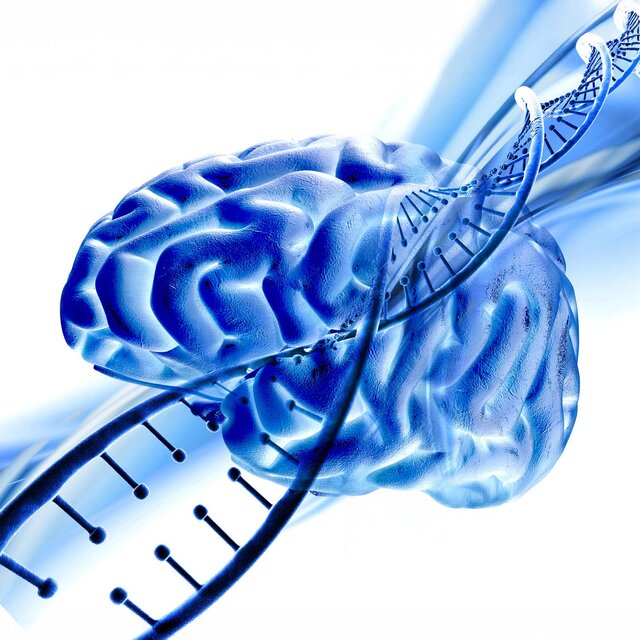 Częstotliwości regeneracji neurokrążeniowej