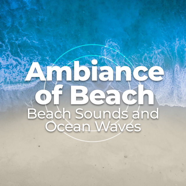 Ambiance of Beach