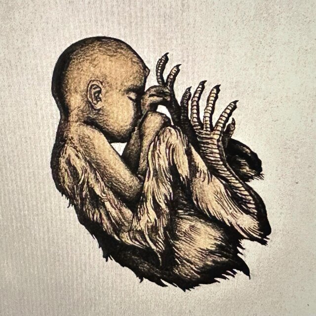 Decay: Eternal Remorse