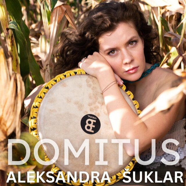 Domitus