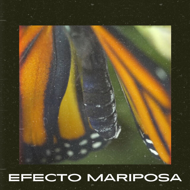 Efecto Mariposa