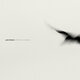 Cover art for album Rathlin from a Distance l The Liquid Hour by Yann Tiersen
