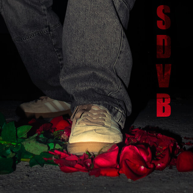 SDVB