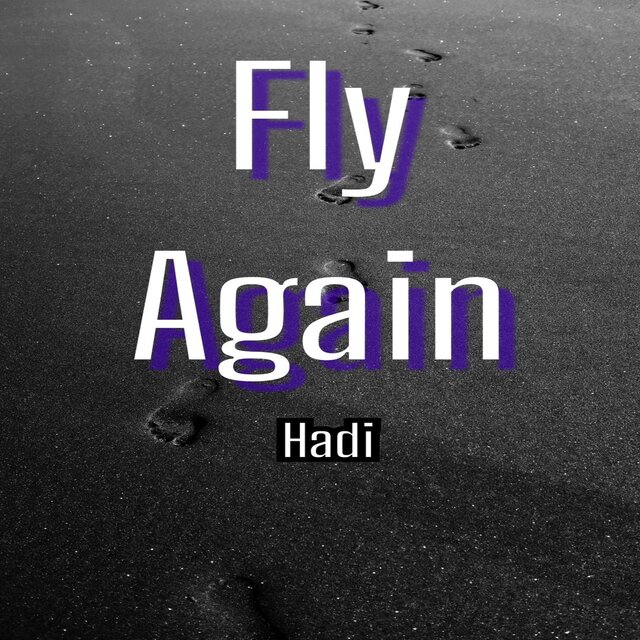 Fly Again