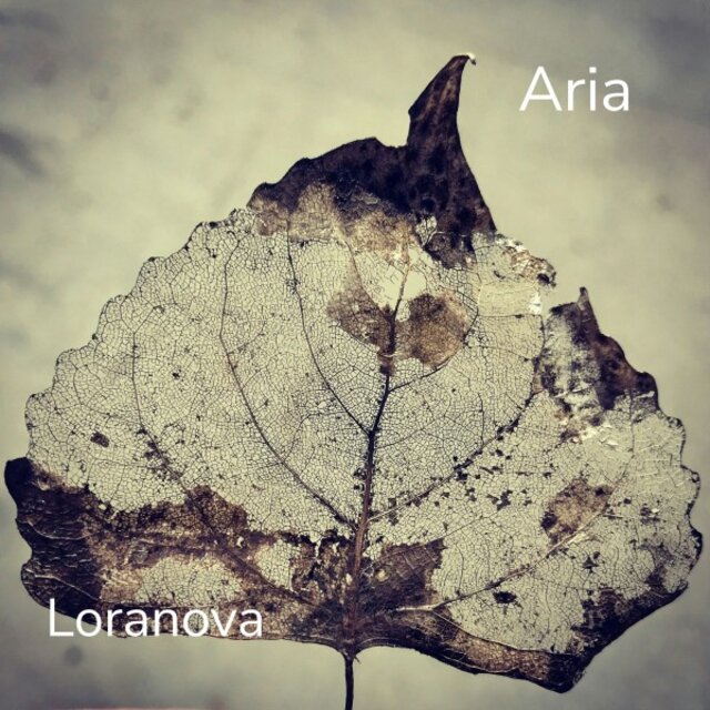 Aria