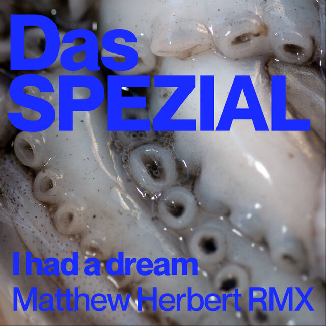 What Does it All Mean - Matthew Herbert Remix