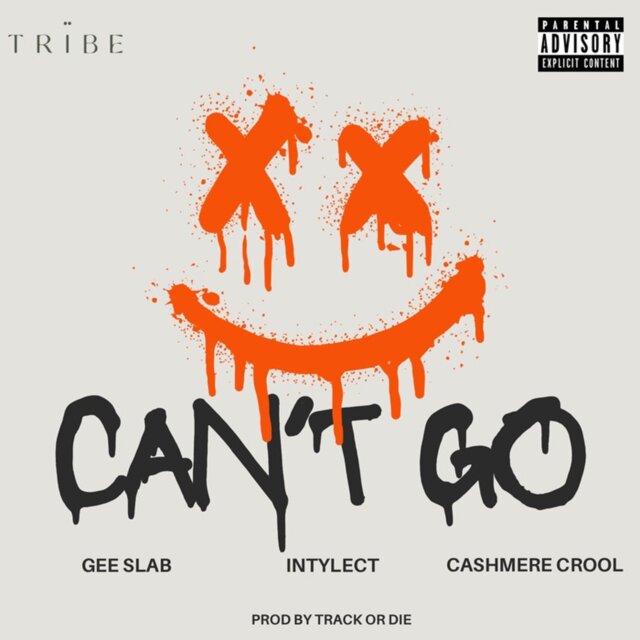 Can't Go