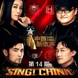 飞得更高