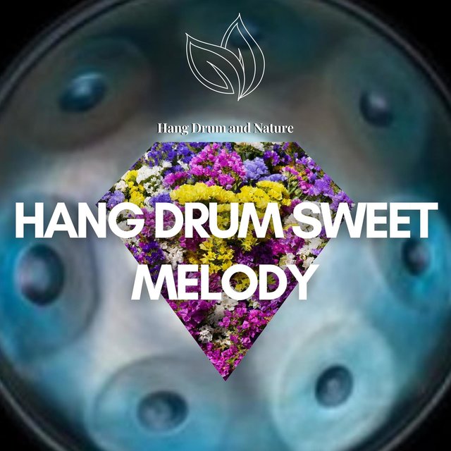 Hang Drum Sweet Melody in the Nature