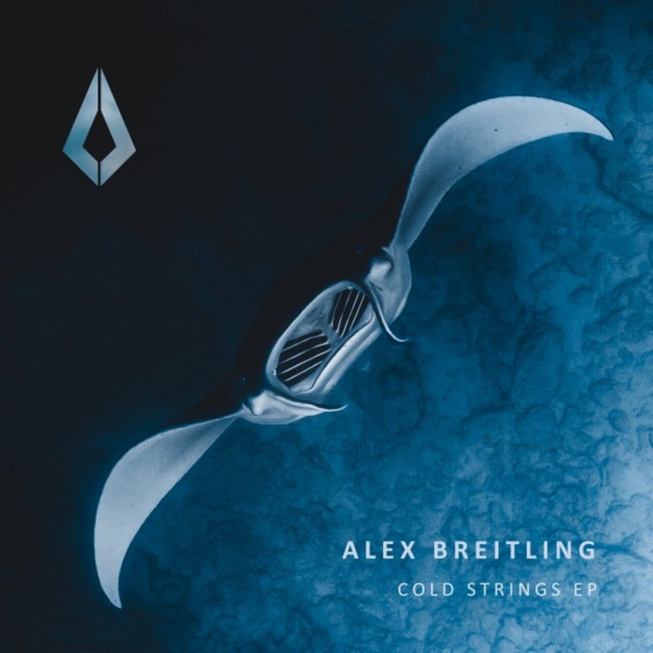Cold Strings by Alex Breitling on TIDAL