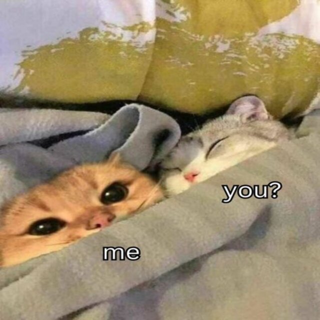 Us