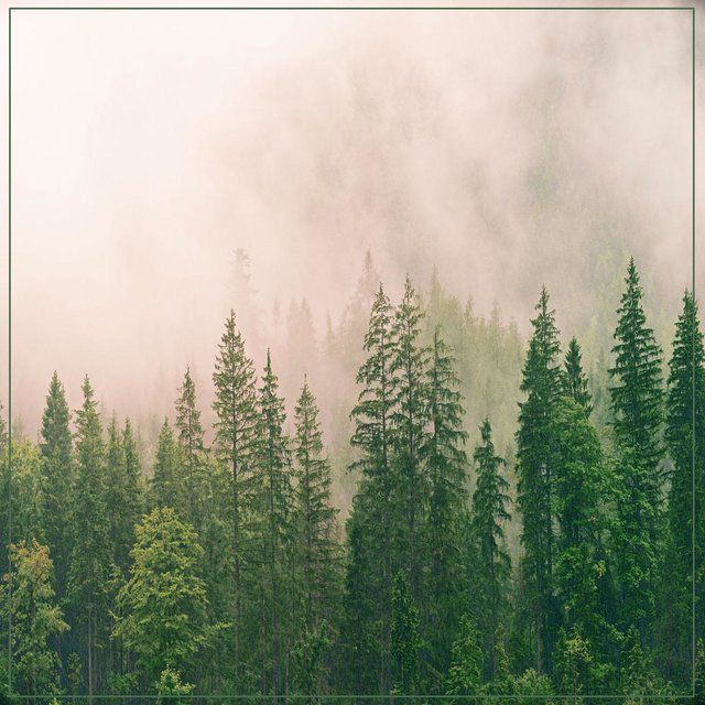 Night-Time Sleep Melody