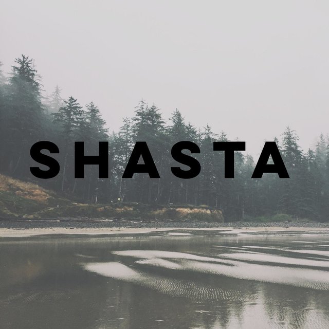 Shasta