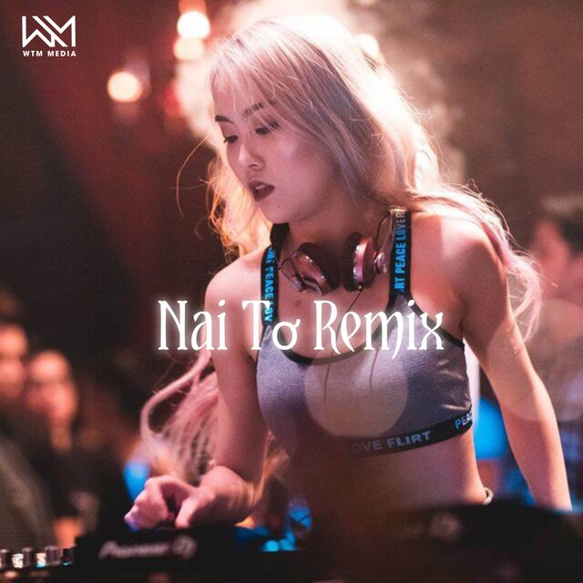 Nai Tơ (Remix)