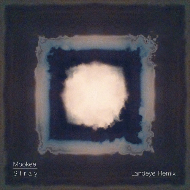 Stray (LandEye Remix)