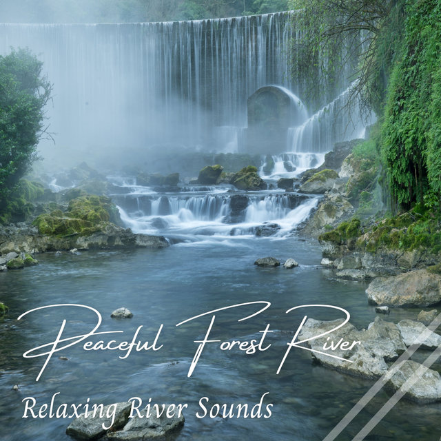 Relaxing River Sounds: Peaceful Forest River - 3 Hours